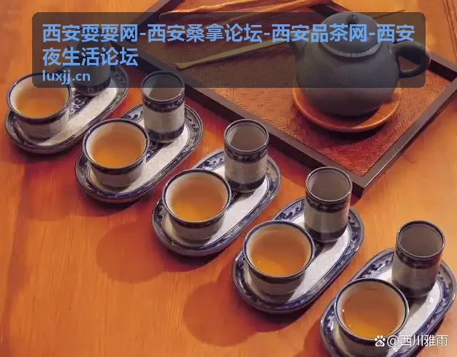 西安耍耍网-西安桑拿论坛-西安品茶网-西安夜生活论坛城市休闲体验场景